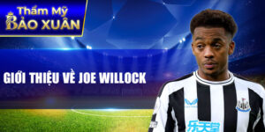 Giới thiệu về joe willock